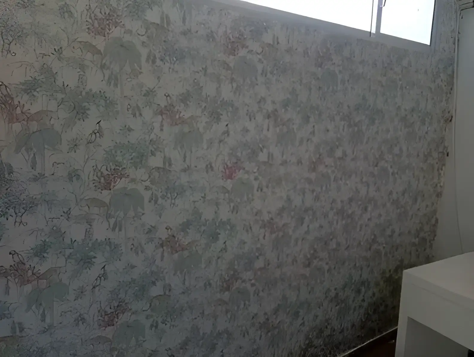 Los Pintores en Málaga colocando papel pintado decorativo en pared completa de habitación